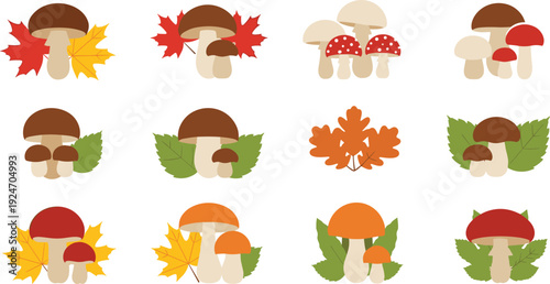 Autumn forest mushrooms with colorful fall leaves, fly agaric, porcini, maple and oak foliage, seasonal botanical nature vector illustration
