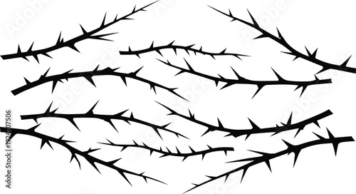 Black thorn branches silhouette set sharp spiky bramble twigs vector illustration isolated on white background for design