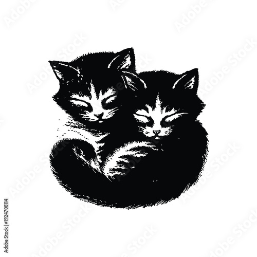 Black and white retro vintage illustration of two cute little cats hugging, curled up bodies hand drawn style vector art