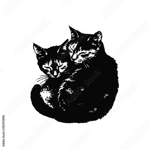 Black and white retro vintage illustration of two cute little cats hugging, curled up bodies hand drawn style vector art