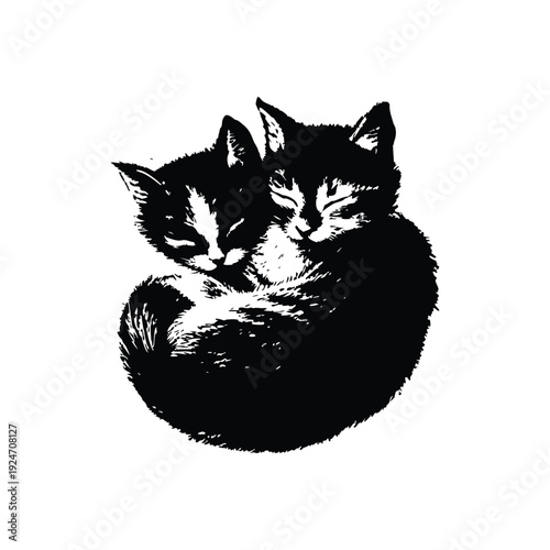 Black and white retro vintage illustration of two cute little cats hugging, curled up bodies hand drawn style vector art