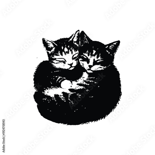 Black and white retro vintage illustration of two cute little cats hugging, curled up bodies hand drawn style vector art
