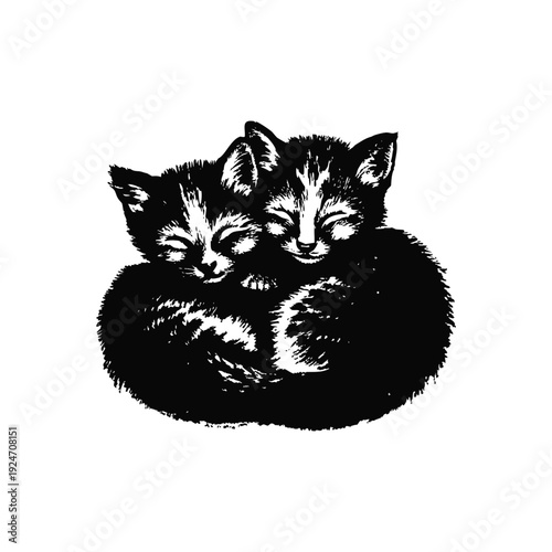 Black and white retro vintage illustration of two cute little cats hugging, curled up bodies hand drawn style vector art