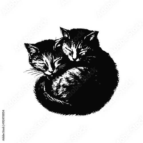 Black and white retro vintage illustration of two cute little cats hugging, curled up bodies hand drawn style vector art