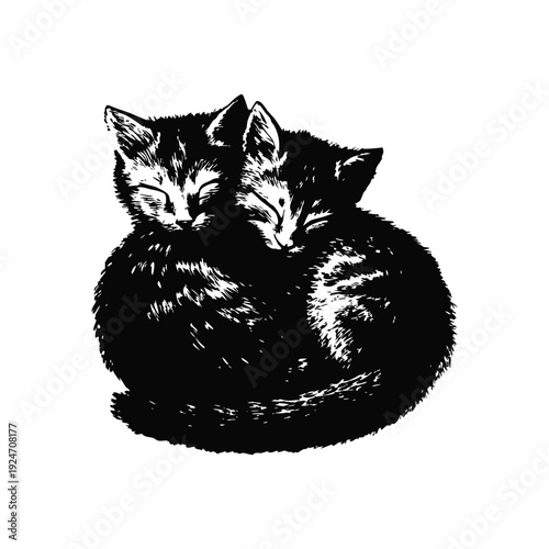 Black and white retro vintage illustration of two cute little cats hugging, curled up bodies hand drawn style vector art