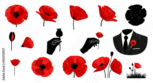 Collection of red poppy flowers and black and white silhouette icons