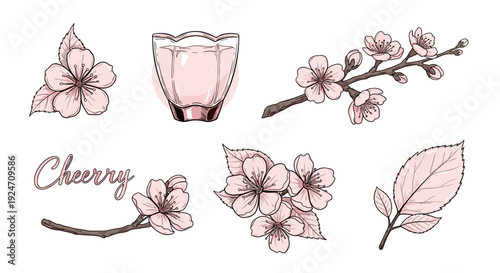 Collection of delicate cherry blossom illustrations and floral elements