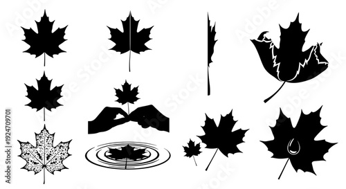 Collection of black maple leaf silhouettes and nature icons