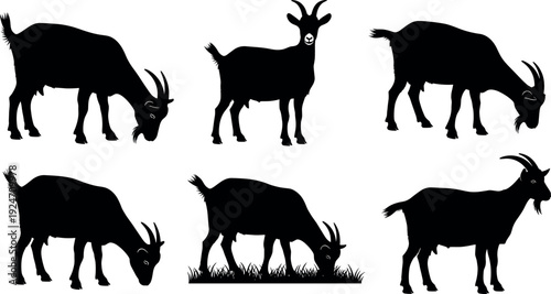 Set of goat silhouettes grazing and standing, farm animal illustration, livestock collection, rural agriculture concept isolated on white background, black vector design icons