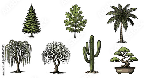 Collection of various trees including pine oak palm and cactus