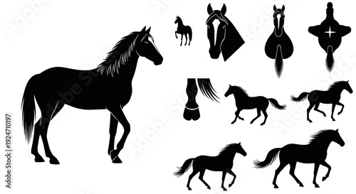 Collection of various horse silhouettes in different poses and styles