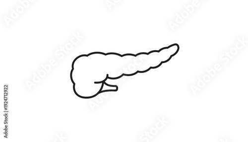 Pancreas outline icon, simple vector illustration, medical organ symbol