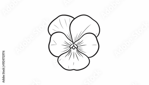 Pansy Flower Outline Drawing, Simple Vector Illustration, Botanical Art