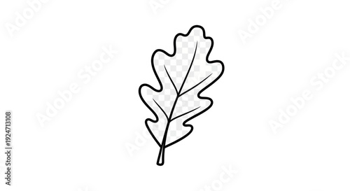 Oak Leaf Outline Drawing, Simple Black and White Vector Illustration