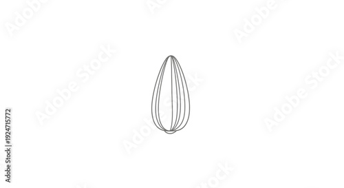 Minimalist Line Art of a Single Sunflower Seed on White Background