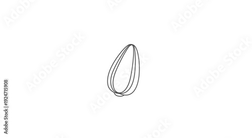 Minimalist single line drawing of a seed on a white background