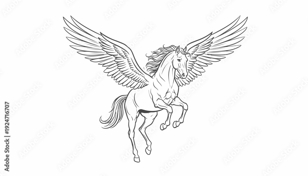 Obraz premium Mythical Pegasus Horse with Majestic Wings Flying, Line Art Illustration