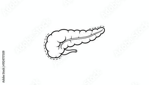 Pancreas Anatomy Outline Icon - Medical Organ Illustration