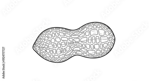 Peanut in Shell, Line Art Illustration, Isolated on White Background