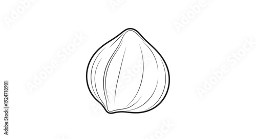 Simple Outline Drawing of a Hazelnut Icon on White Background