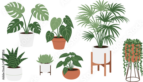 Indoor houseplants vector collection with tropical foliage succulents and potted greenery isolated on white background modern botanical