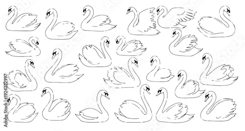Massive bundle of swan bird illustrations, diverse set of elegant swan silhouettes, minimalist minimalist bird elements for pattern and branding.