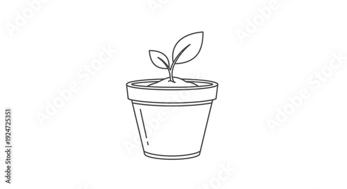 Sprout Growing in Pot: Seedling, New Life, Growth, Beginning, Nature, Green Plant