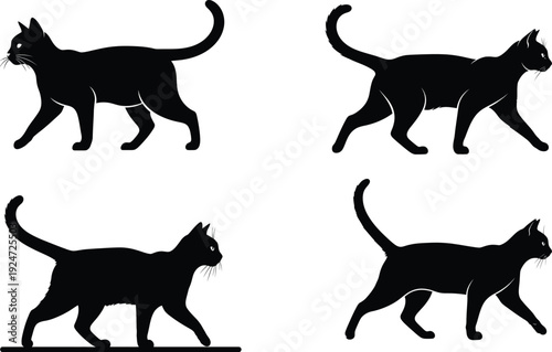 Black Cat Silhouette Collection: A collection of sleek black cat silhouettes in various poses. These minimalist shapes evoke a sense of mystery and elegance. 