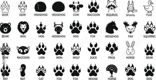 Black and white animal paw prints and wildlife head icons collection featuring bear wolf deer and raccoon footprints isolated on white background cad drawing flat vector illustration