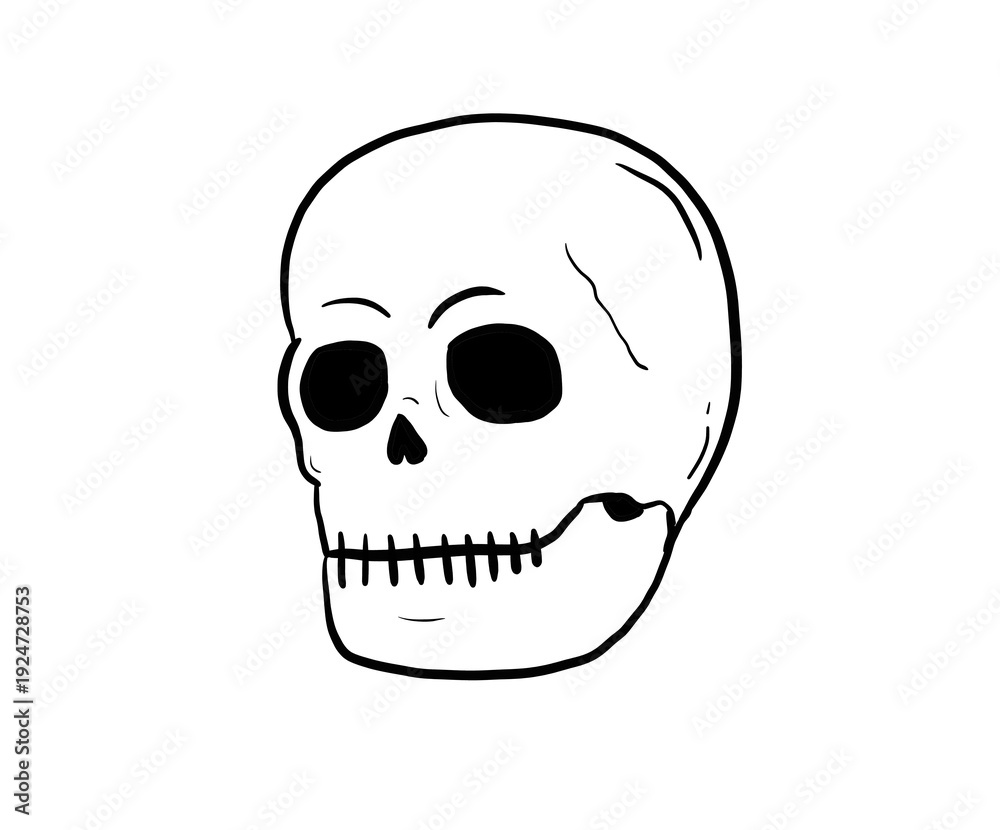 Fototapeta premium simple skull digital drawing illustration isolated
