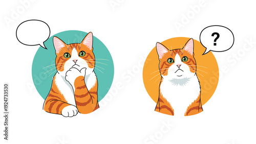 Orange tabby cat character shown in two panels with expressions of deep thinking and questioning with a question mark.