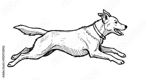 Dog Running with Collar Illustration.