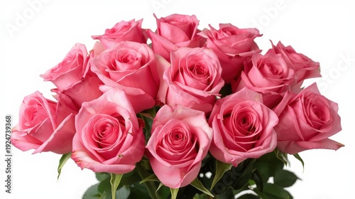 A beautiful bouquet of pink roses in full bloom against a white background