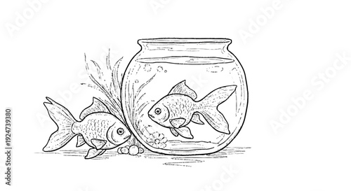 Goldfish Swimming in Fishbowl and Outside.