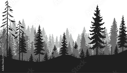 Coniferous Forest Silhouette Panorama Evergreen Trees Layered Nature Background