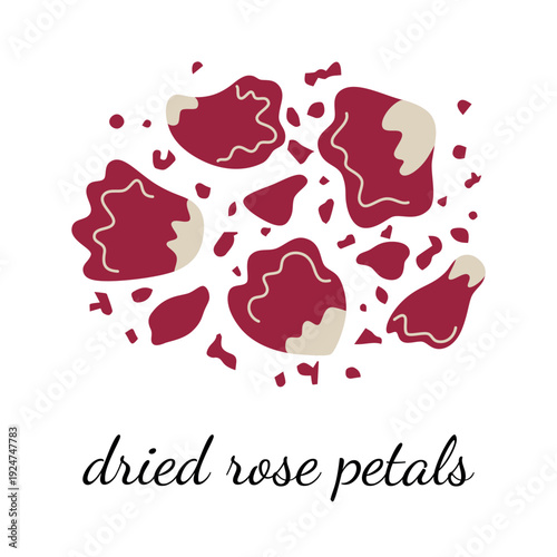 Dried rose petals scattered in flat cartoon style. Vector illustration for botanical theme, cooking, aromatherapy. Composition of organic floral elements, natural spices and herbs for kitchen design