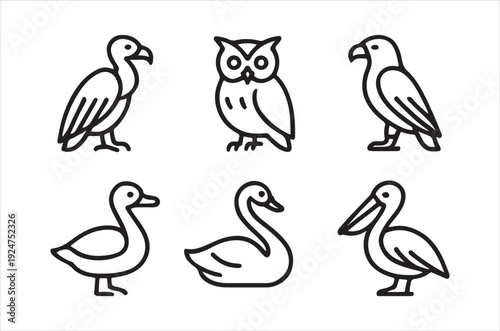 Minimalist line art illustration featuring six different bird species in a row