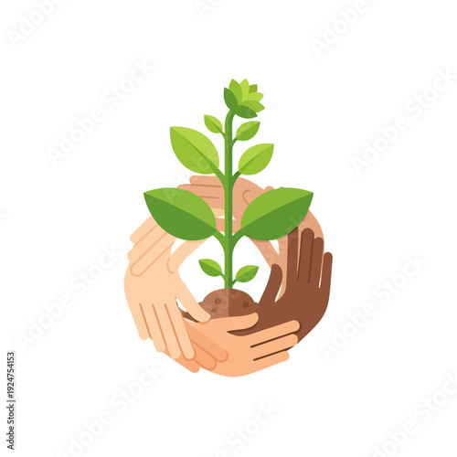 Diverse Hands Protecting Young Plant Sprout, Unity and Growth Concept
