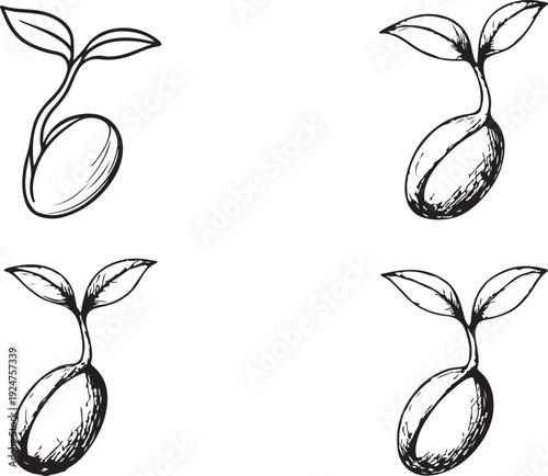 Set of four hand-drawn sprouting seed icons in various sketch styles