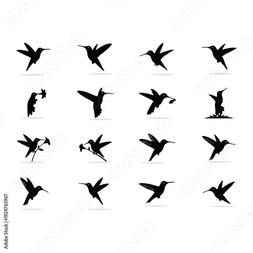 set of silhouettes of hummingbird