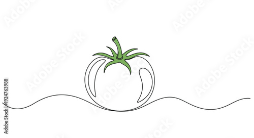Fresh Tomato with Green Stem in Continuous One Line Art Style