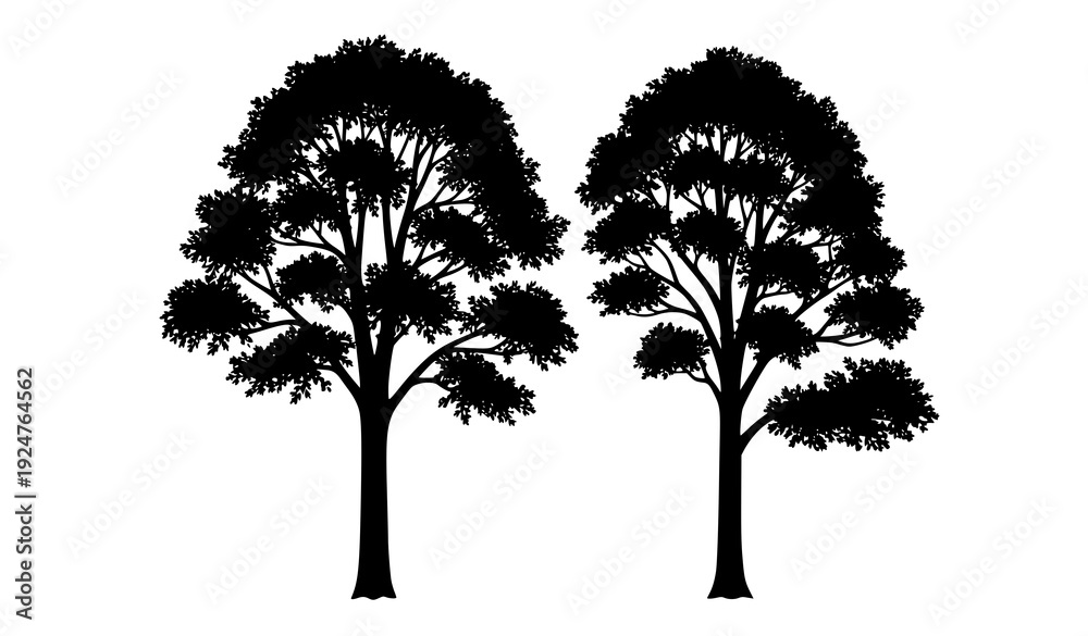 Fototapeta premium Elegant Sycamore Tree Silhouettes Isolated Forest Landscape Vector Design