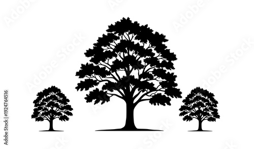 Beautiful Sycamore Tree Silhouette Forest Composition Vector Landscape Art