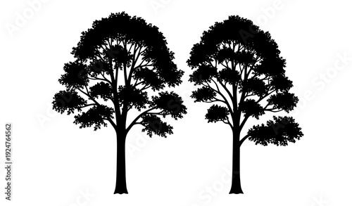Elegant Sycamore Tree Silhouettes Isolated Forest Landscape Vector Design
