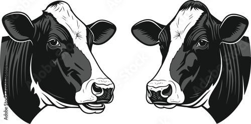 Set of Realistic Black and White Holstein Friesian Cow Head Portraits Isolated on White Background for Farm Dairy Product Labels (exactly 20 words)