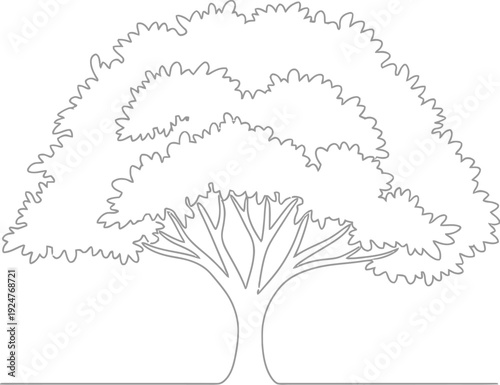 Minimalist continuous line drawing art depicting a large mature deciduous tree with a wide spreading canopy against a clean white background