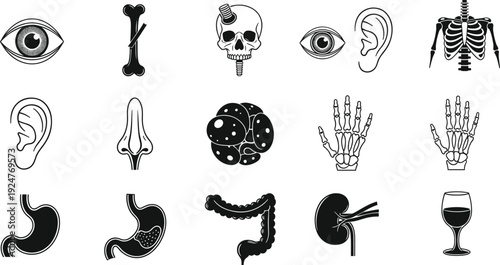 Human anatomy medical icon collection featuring organs, skeleton parts, eye, ear, stomach and internal body system illustration set