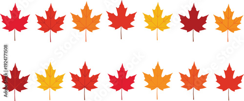 Autumn Maple Leaf Collection Vector Illustration Set with Red Orange and Yellow Fall Leaves Isolated on White Background for Seasonal Design