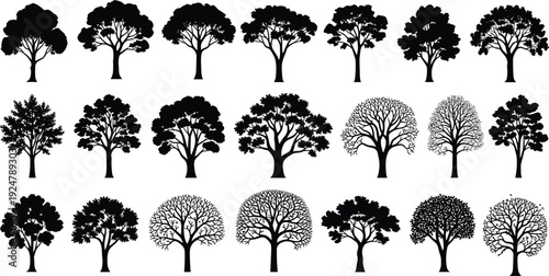 Diverse tree silhouette collection, deciduous and leafy nature elements set, forest vegetation icons, outdoor garden landscaping design, vector black plant shapes.