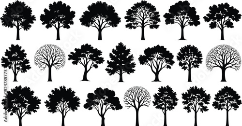 Large collection of diverse tree silhouettes, deciduous and leafy nature elements set, forest vegetation icons, outdoor garden landscaping design, vector plants.